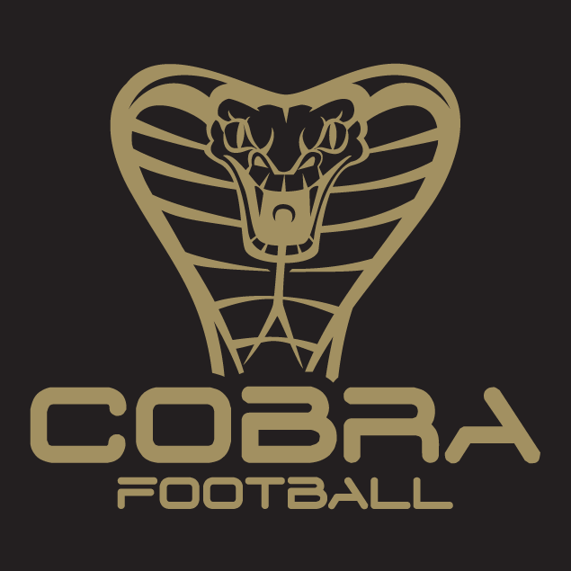 Cobra Football Players Earn NEK All-League Honors