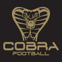 Cobra Football Players Earn NEK All-League Honors