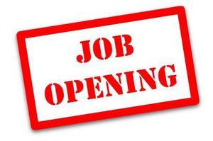 Paraprofessional Position